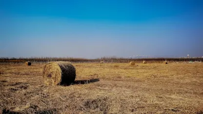 카지노 애드레날린 모바일 앱